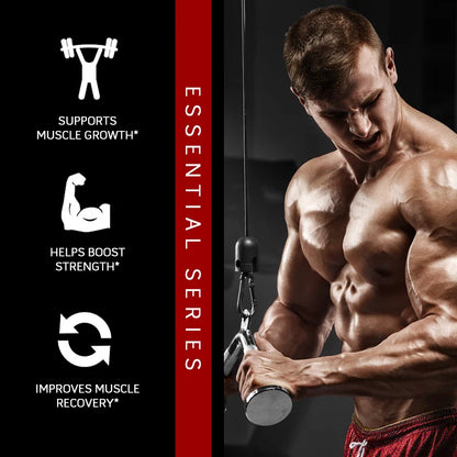 Creatine Monohydrate Capsules Body Building Amid Acid Whey Proteins for Muscle Mass Pre Training Supplement Gym Energy Fitness